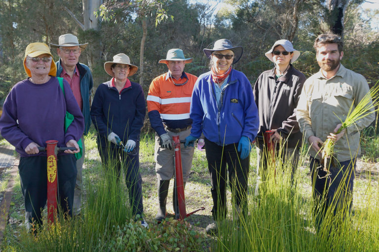 Group of individuals standing in bushland wearing hats and holding tools