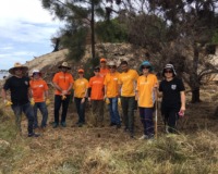 Bankwest Corporate Volunteers at Point Roe with Perth NRM and Friends of Mosman Park