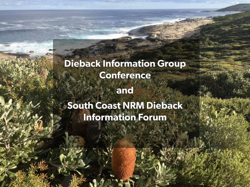 Dieback Information Group
