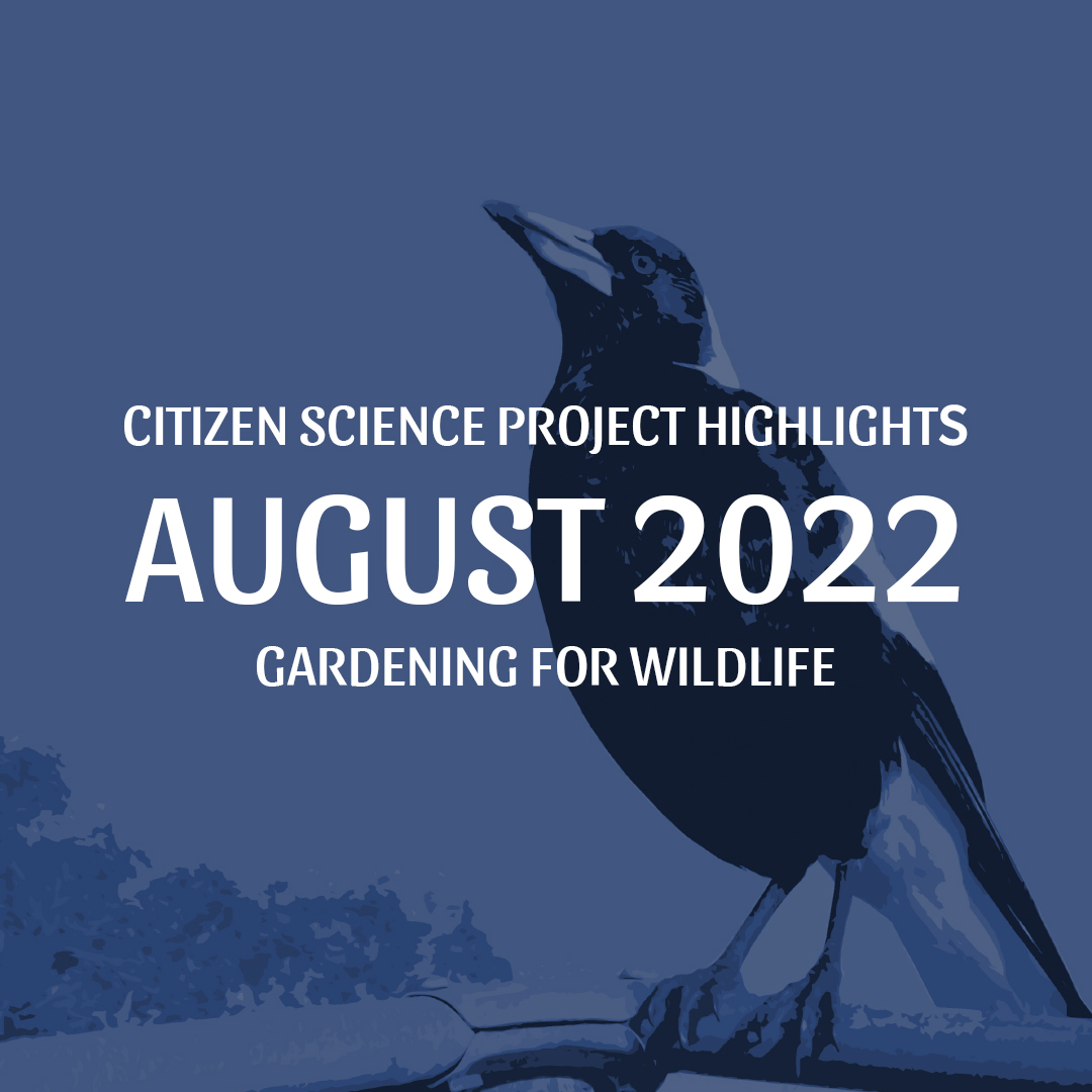 Citizen Science: August Update • Perth NRM