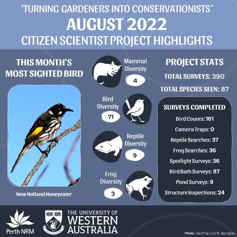 CitSci August 2022 Infographic