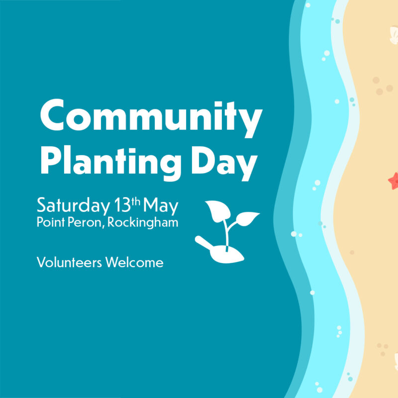 Community Planting Day - Point Peron 2023