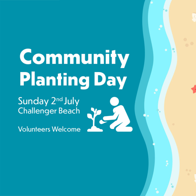 Challenger Beach - Community Planting Event 2023